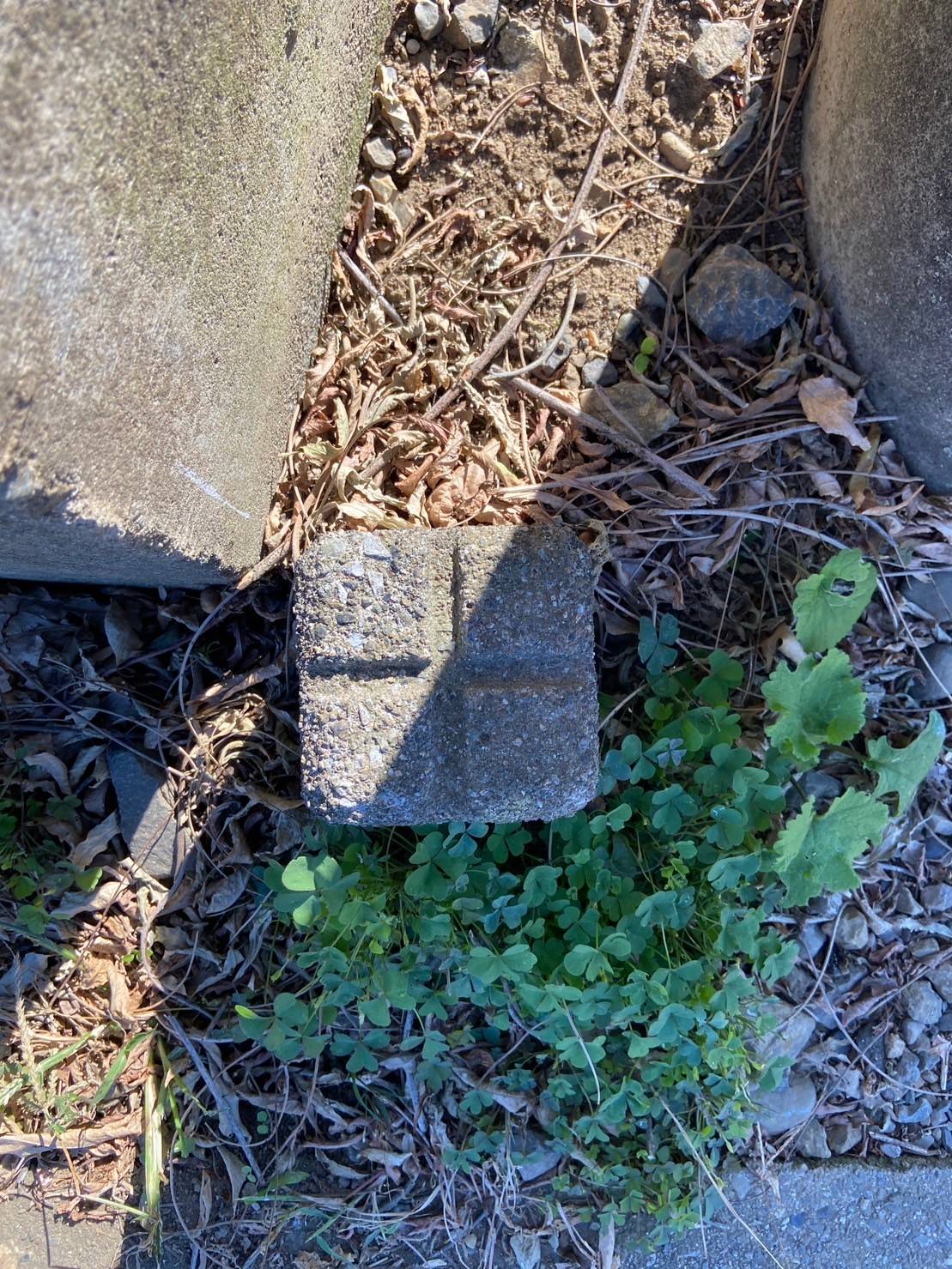 1783907623751